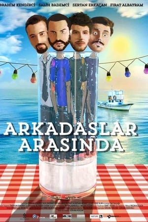 Poster Arkadaşlar Arasında (2013)