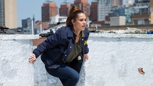 Quantico 1×2 Temporada 1 Capitulo 2 Español Latino