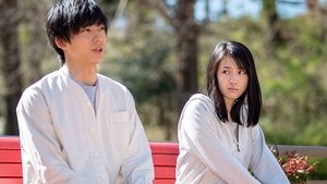 13 Season 1 Episode 1