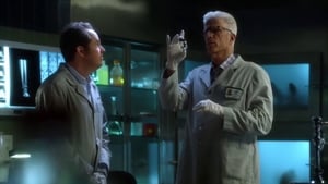 CSI – Scena del crimine 14×21