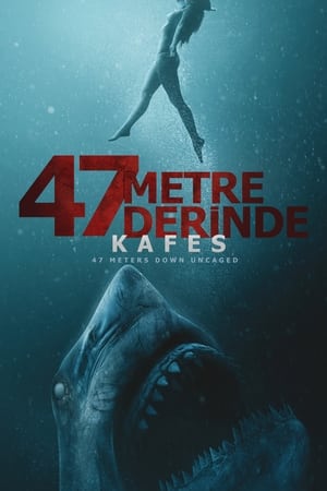 47 Metre Derinde: Kafes 2019