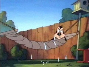 Goofy und Max: 1×2