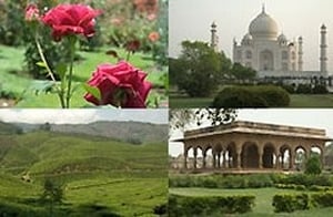 Around the World in 80 Gardens India