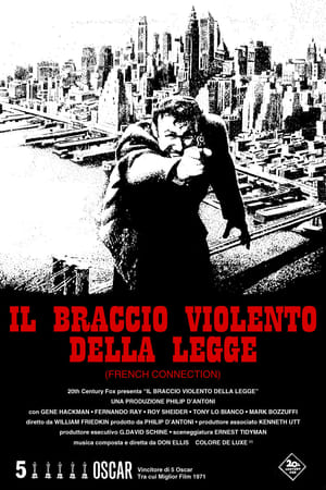 Poster di Il braccio violento della legge