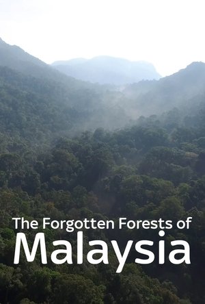 Nonton film The Forgotten Forests of Malaysia (2018) terbaru sub indo Nonton film The Forgotten Forests of Malaysia (2018) terbaru sub indo