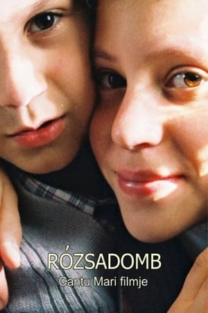 Poster Rózsadomb 2003