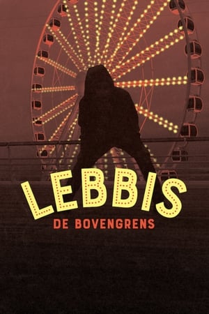 Poster Lebbis: De Bovengrens 2018