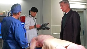 NCIS: Investigação Naval: 9×10