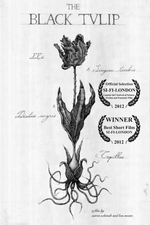 The Black Tulip poster