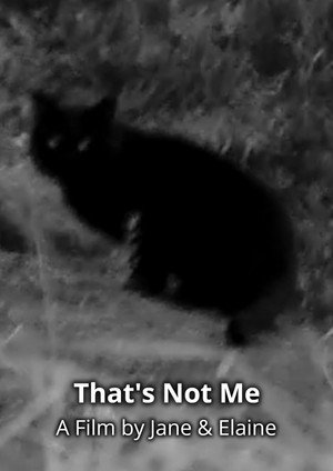 That's Not Me 2