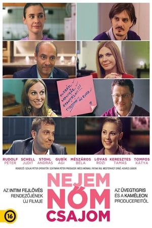 Nejem, nőm, csajom poster