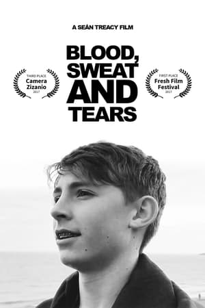 Blood, Sweat and Tears (2017)