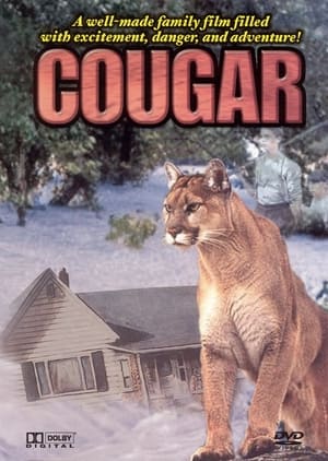 Poster Cougar 1984
