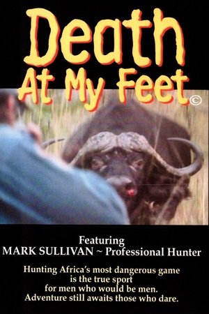 Poster Death at my feet (2000)