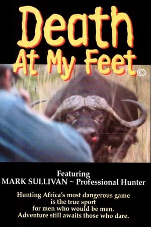 Poster Death at my feet 2000