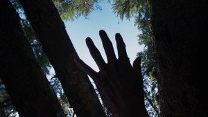 Images posters
