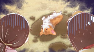 The Corgi and the Samurai: 1×7