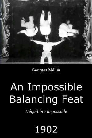 Image An Impossible Balancing Feat