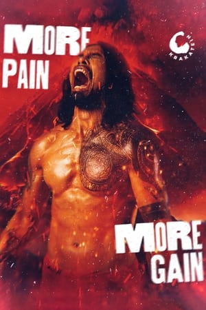 Poster MORE PAIN MORE GAIN 2024