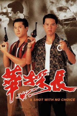 Poster 華探長 1994