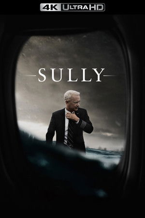 poster Sully