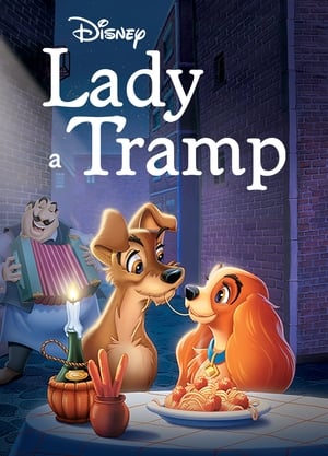 Lady a Tramp 1955