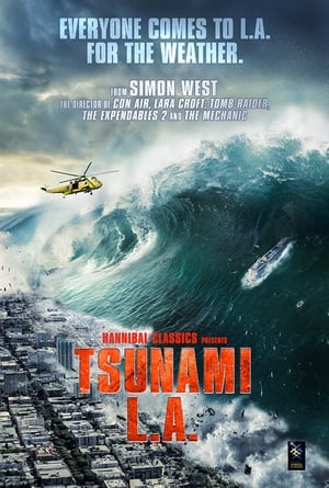 Poster Tsunami LA 2024