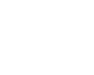 Ảnh 302
