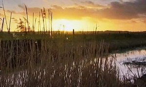 Image Washingborough, Lincoln - Life on the Edge 1000 Years BC