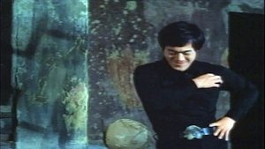 Fists Of Bruce Lee film complet