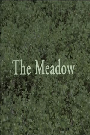 Poster The Meadow (1998)