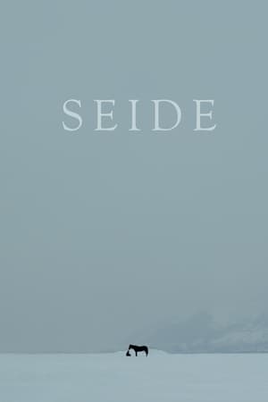 Image Seide