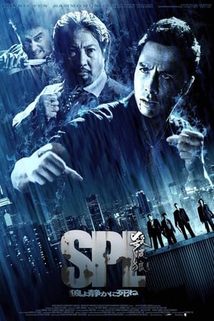 Poster SPL : Kill Zone 2005