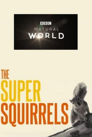 Poster The Super Squirrels 2018