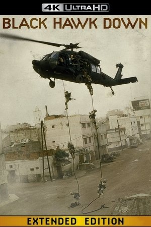 poster Black Hawk Down