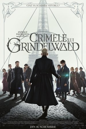 Poster Animale fantastice: Crimele lui Grindelwald 2018