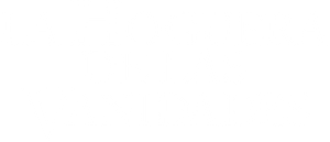 La hoguera de las vanidades