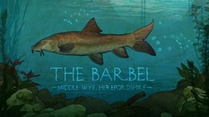 Barbel on the Wye