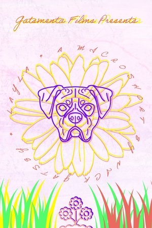 Image Layla