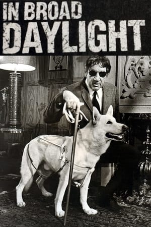 Poster In Broad Daylight (1971)