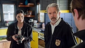 NCIS – Unità anticrimine 20×18