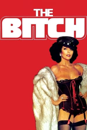 Poster The Bitch 1979