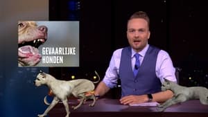 De Avondshow met Arjen Lubach General Considerations | Dangerous dogs