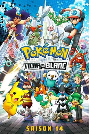 Pokémon: Noir & Blanc