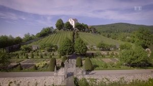 The best of our gardens