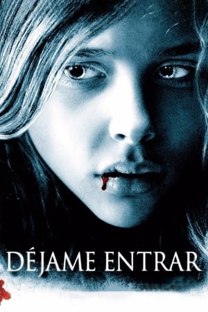 Poster Déjame entrar 2010