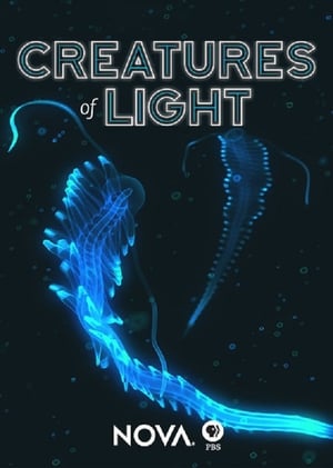 Creatures of Light poster