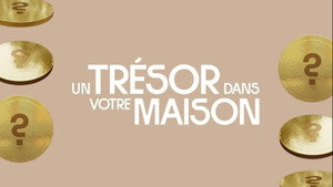 Un tr&eacute;sor dans votre maison