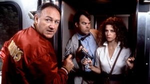 Loose Cannons Online En Netflix