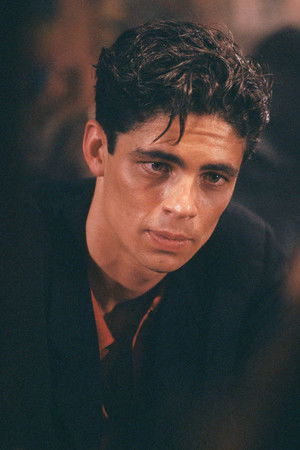 Benicio del Toro photo